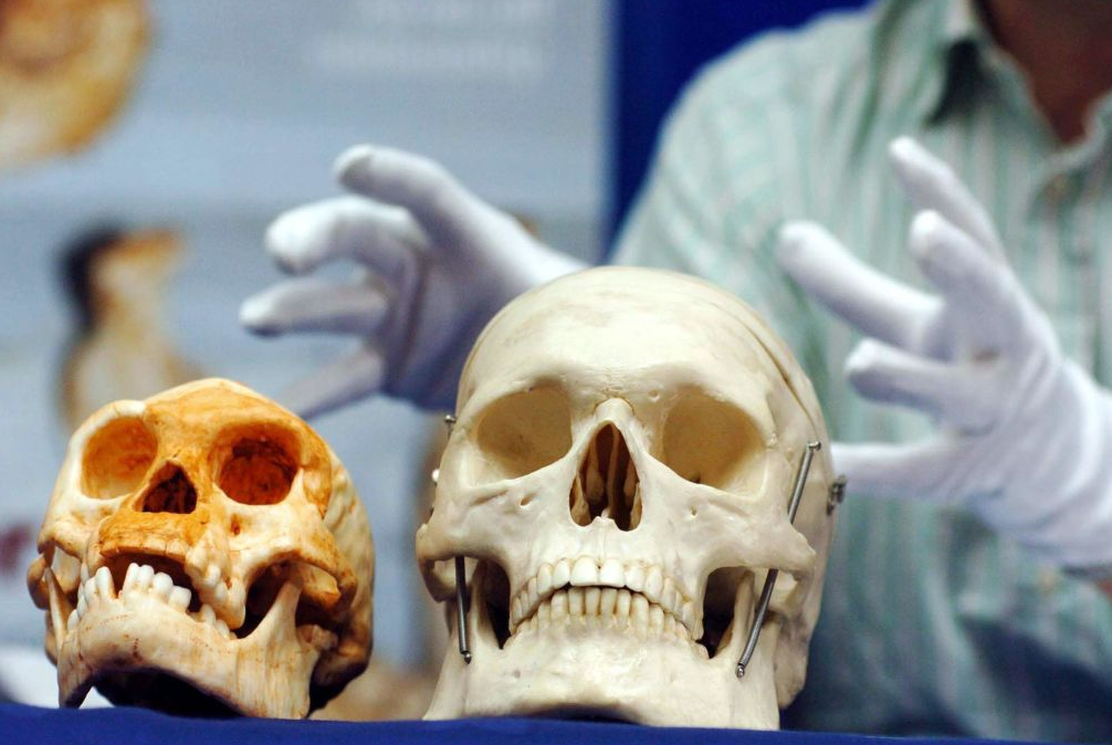 رحلة إنسان نياندرتال - Neanderthals مع السرطان