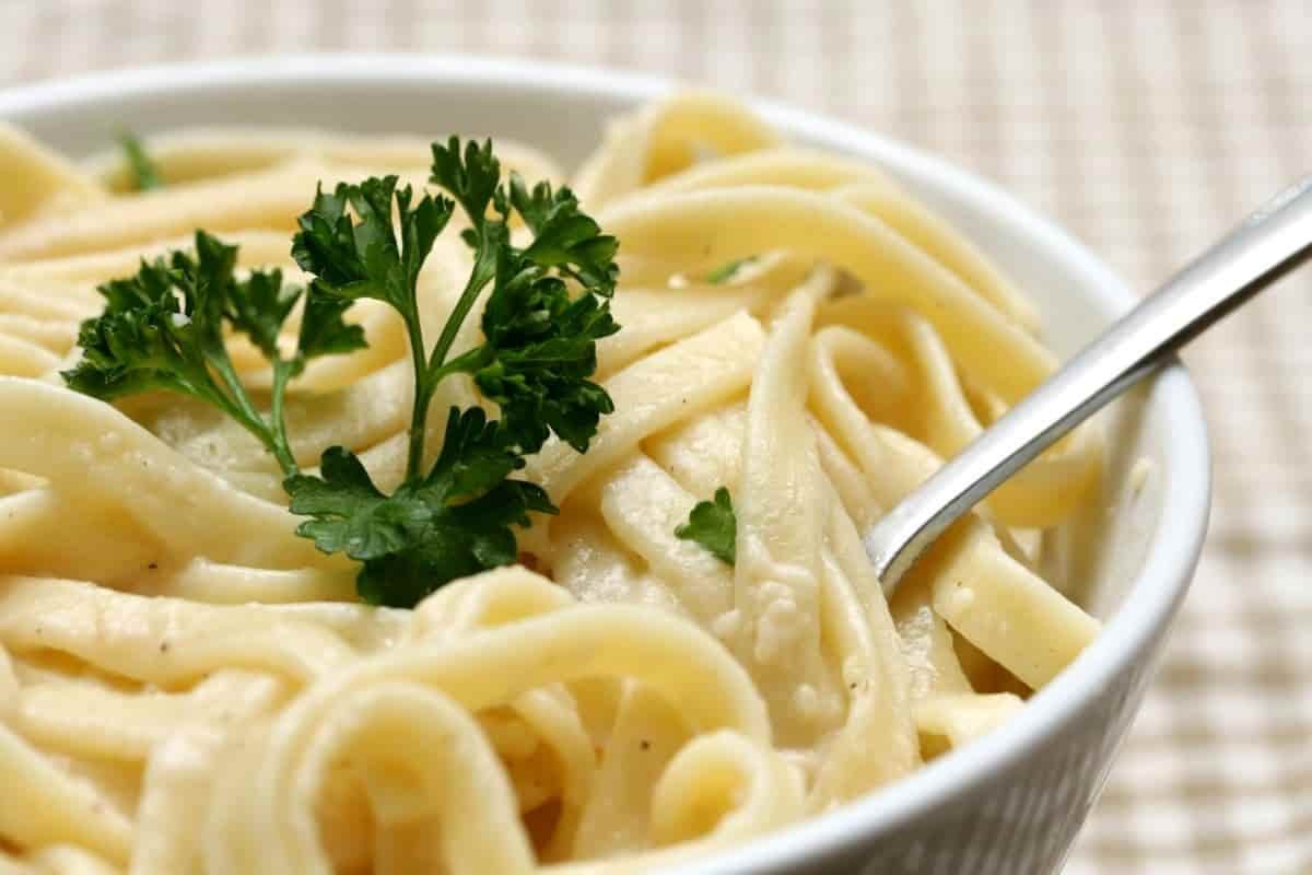 طريقة عمل المكرونة بصوص الزبادي.. وصفة سهلة ولذيذة