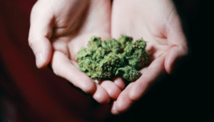 الكوش ينتشر في غرب أفريقيا