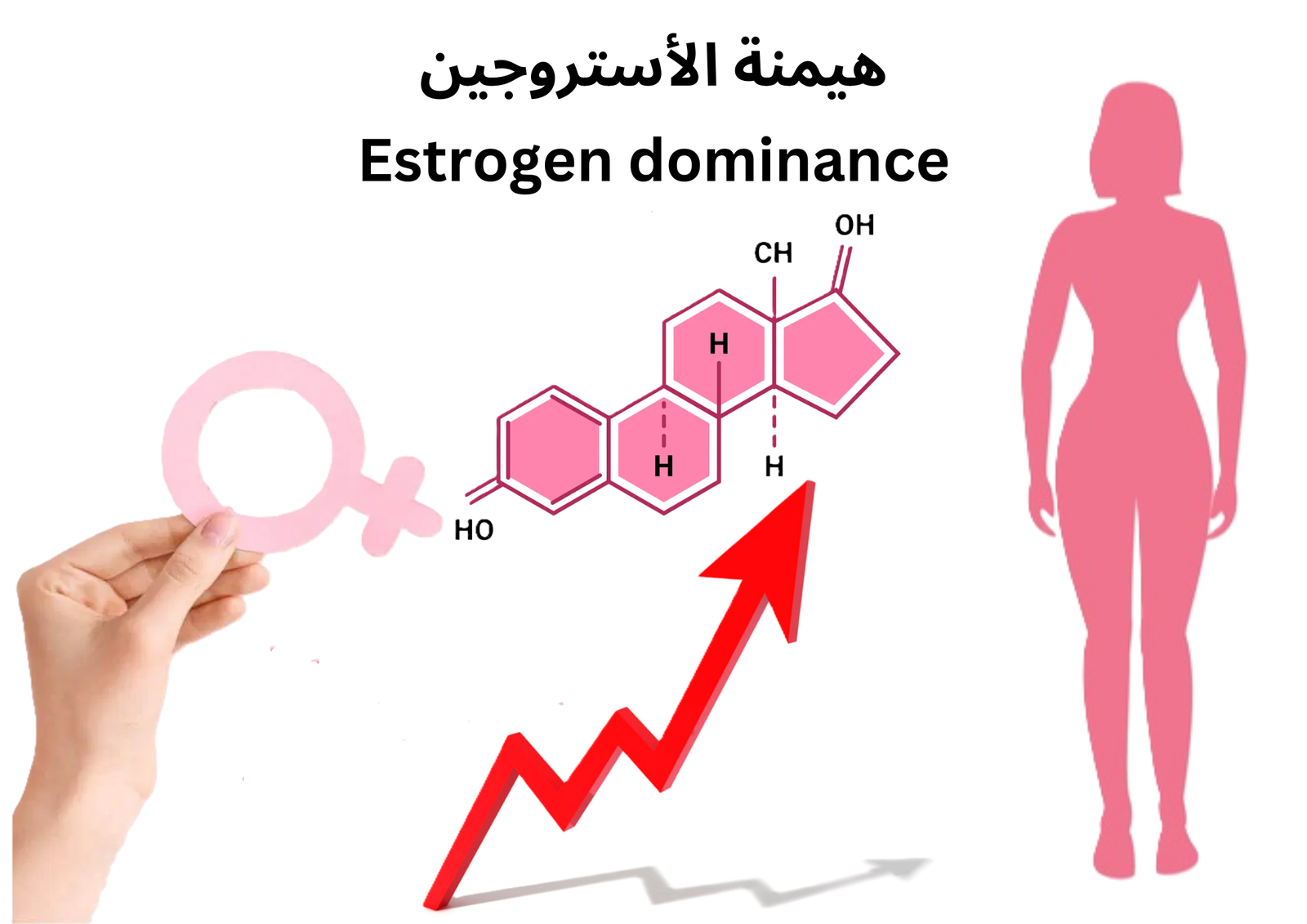 دراسة أسترالية تكشف.. هرمون الإستروجين يحمي قلوب النساء من أضرار ضغط الدم المرتفع