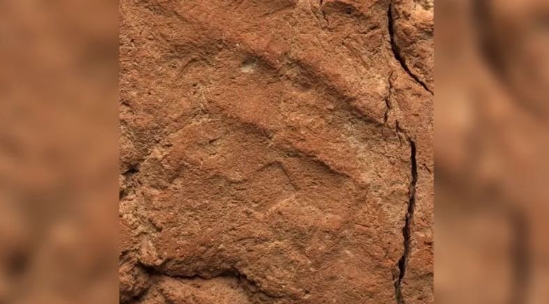 اكتشاف بصمة يد عمرها 4 آلاف عام على أثر مصري نادر