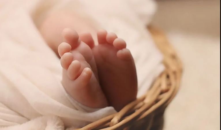 دراسة حول تحديد جنس المولود