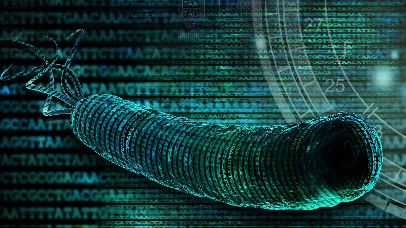 اختراق علمي مذهل: علماء يبتكرون بكتيريا بشفرة وراثية غير مسبوقة قد تغير مستقبل الطب والصناعة