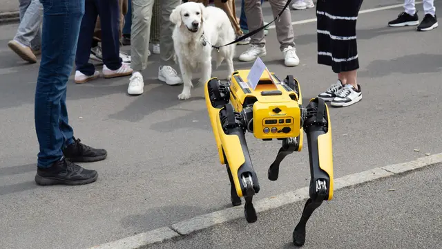 روبوتات الكلاب تدخل معركة هونغ كونغ ضد فيروس الشيكونغونيا: الذكاء الاصطناعي في مواجهة بعوض قاتل