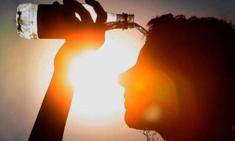 موجة حر في البرتغال تقتل 1,331 شخصًا خلال 20 يومًا