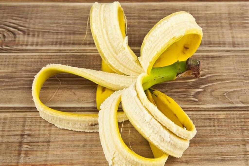 قشور الموز.. كنز غذائي مهمل قد يغيّر مفهومنا عن الخبز! قشور الموز.. كنز غذائي مهمل قد يغيّر مفهومنا عن الخبز!