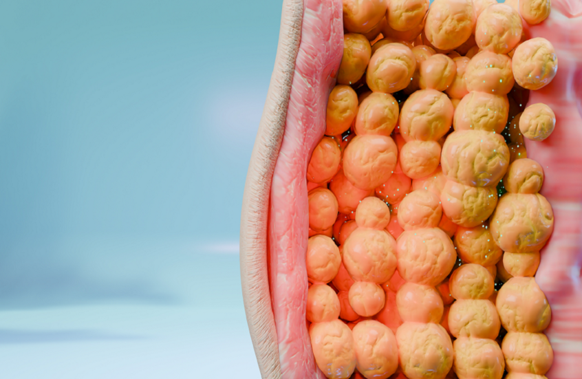 اليقطين.. أهم "الكربوهيدرات الخريفية المثالية" لحرق الدهون بسرعة