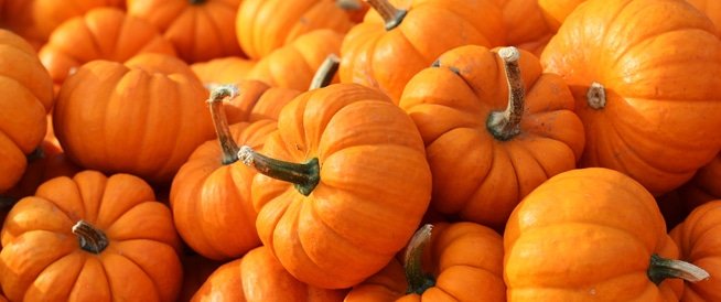 اليقطين.. أهم "الكربوهيدرات الخريفية المثالية" لحرق الدهون بسرعة