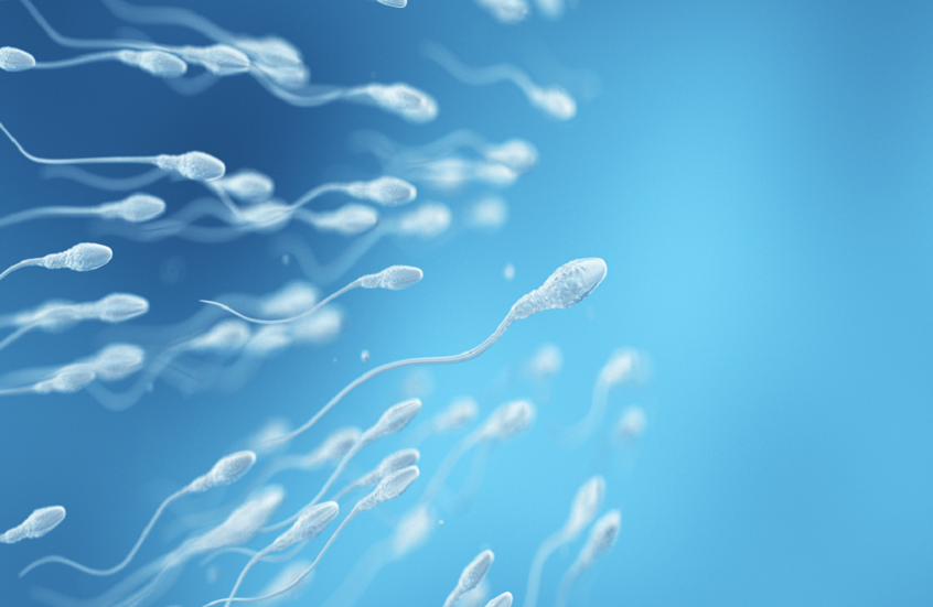 دراسة تكشف علاقة مدهشة بين عمر الأب وطفرات جينية "أنانية" قد تسبب أمراضًا خطيرة للأبناء