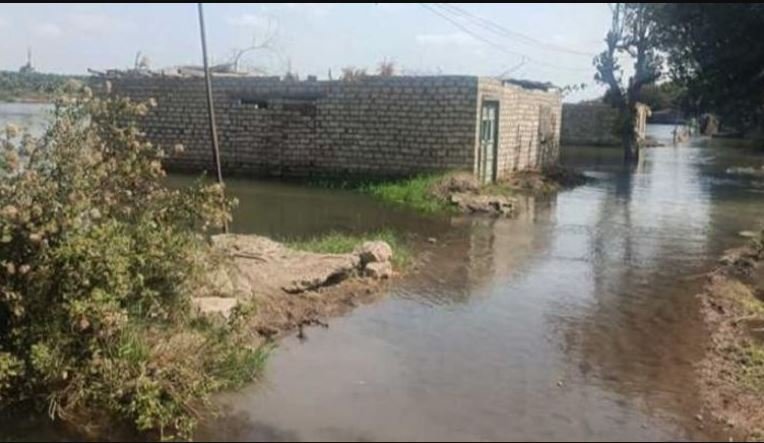 غرق أراضي طرح النهر في محافظة المنوفية المصرية