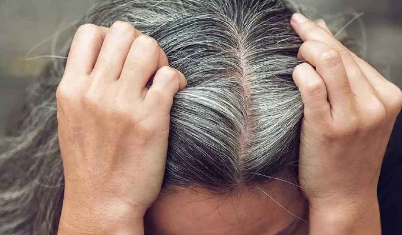 كيف يكشف الشعر الرمادي قدرة الجسم على حماية نفسه من السرطان؟