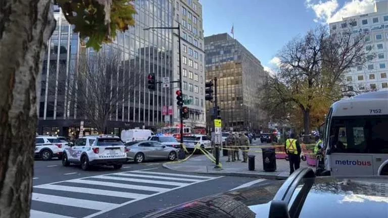 البيت الأبيض 