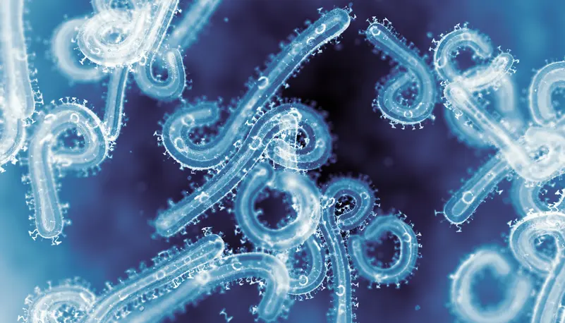 مصر تعلن حالة التأهب لمواجهة خطر فيروس "ماربورغ" بعد ظهوره في إثيوبيا