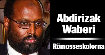 "the terrorist Brotherhood"