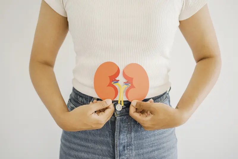 أمراض الكلى المزمنة ترتفع عالميًا وتصبح تاسع سبب رئيسي للوفاة