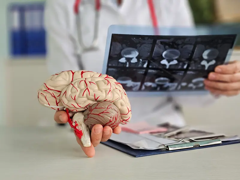 مشروبات قد تدعم صحة الدماغ والذاكرة مع التقدم في العمر