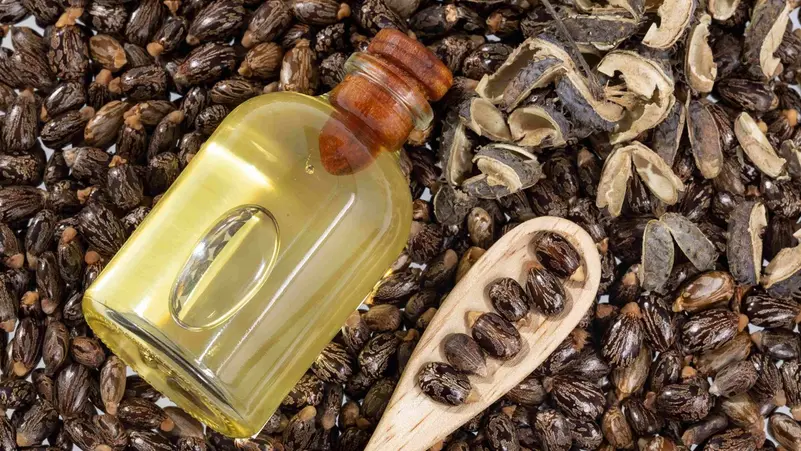 زيت الخروع.. فوائد متعددة للبشرة والشعر والمفاصل