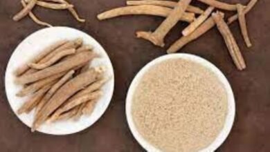 الأشواغندا تحت المجهر: كم تستمر آثارها في الجسم؟