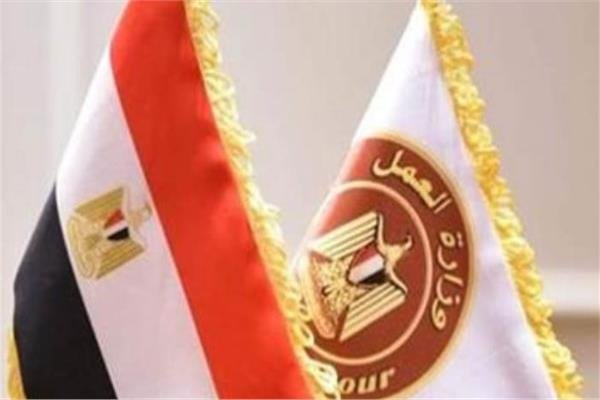 وزارة العمل: حملات تفتيش مكثفة تسفر عن 314 محضرًا لمخالفات الحد الأدنى للأجور و94 لعقود العمل