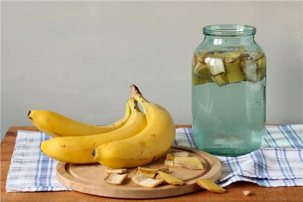 ماء الموز ينافس ماء جوز الهند.. من يفوز في معركة الترطيب؟