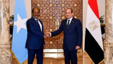الرئيس السيسي ونظيره الصومالي