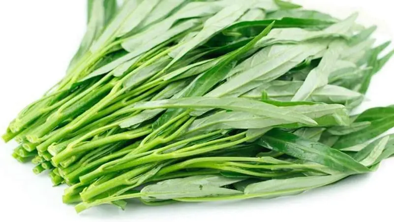 الجرجير المائي.. خضار صغير بمنافع صحية كبيرة