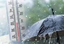 The Meteorological Authority