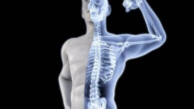 الحفاظ على صحة العظام.. النظام الغذائي والنشاط البدني أهم من المكملات