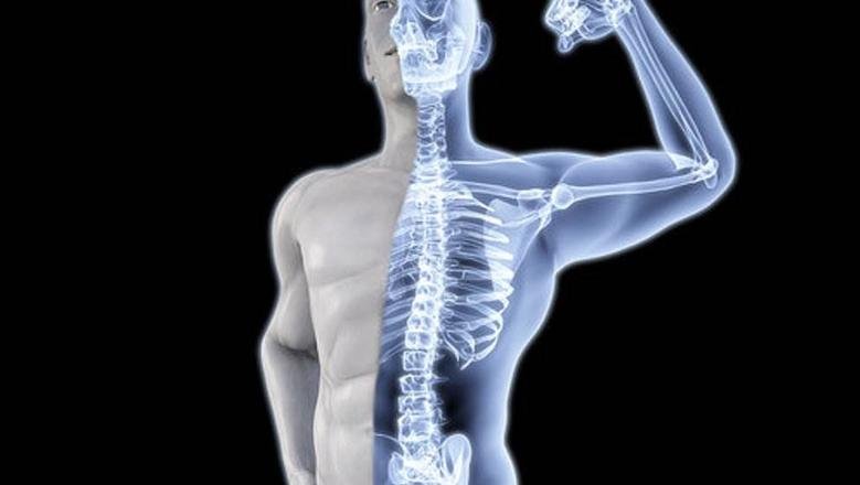 الحفاظ على صحة العظام.. النظام الغذائي والنشاط البدني أهم من المكملات