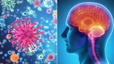 قلق في بريطانيا بعد تسجيل إصابات بالتهاب السحايا ونقص في اللقاحات