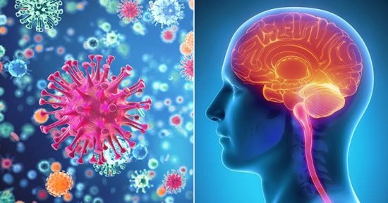 قلق في بريطانيا بعد تسجيل إصابات بالتهاب السحايا ونقص في اللقاحات