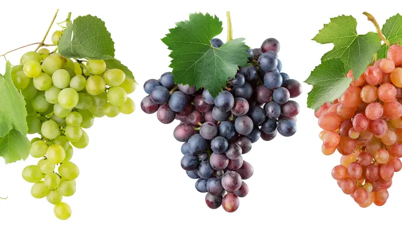 العنب على طاولة “السوبر فود”.. هل يستحق اللقب علميًا؟