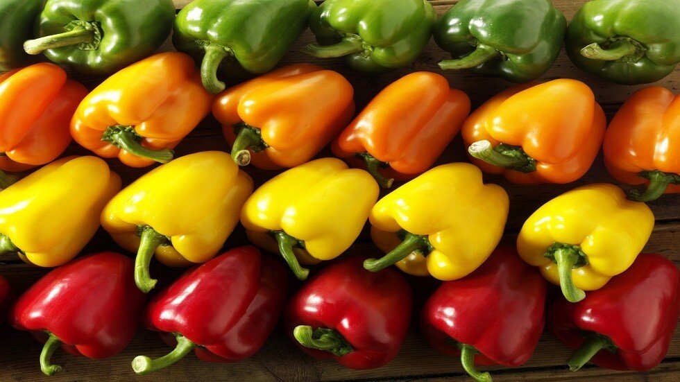 الفلفل الأحمر أم الأخضر؟ فروق غذائية بسيطة وخيارات صحية متعددة