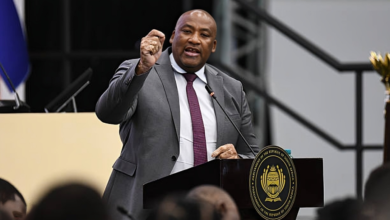 جايتون ماكنزي