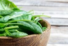 السبانخ بين النيئة والمطبوخة.. أيهما يمنح الجسم فائدة أكبر؟
