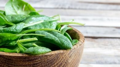 السبانخ بين النيئة والمطبوخة.. أيهما يمنح الجسم فائدة أكبر؟
