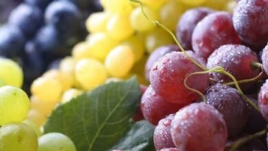 العنب على طاولة “السوبر فود”.. هل يستحق اللقب علميًا؟