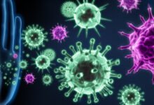 كيف يدعم مرضى ضعف المناعة صحتهم خلال الصيام في رمضان؟