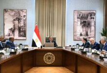 مصر وروسيا تبحثان مستجدات مشروع محطة الضبعة النووية