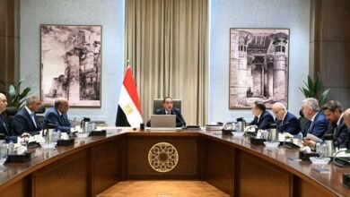 مصر وروسيا تبحثان مستجدات مشروع محطة الضبعة النووية