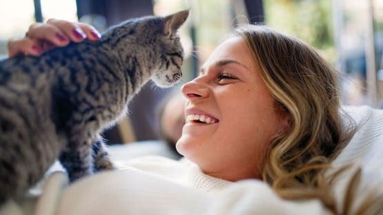 دراسة علمية: الإنسان والقطط يشتركان في قرابة جينية لافتة