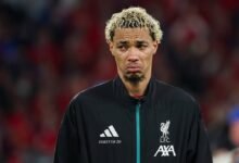 هوجو إيكيتيكي