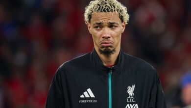 هوجو إيكيتيكي