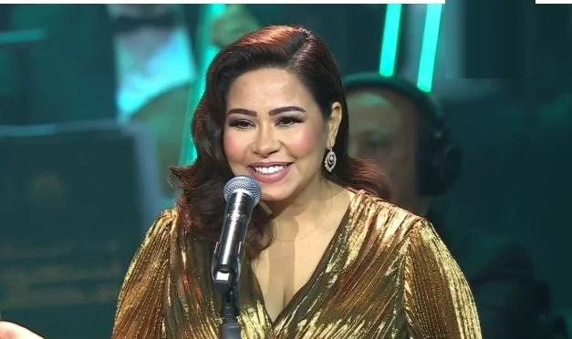 شيرين تفاجئ جمهورها بأغنية جديدة وتستعد لمزيد من الأعمال
