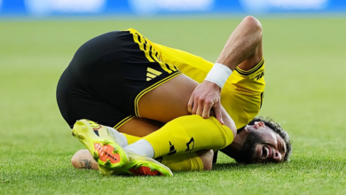 وسام أبو علي