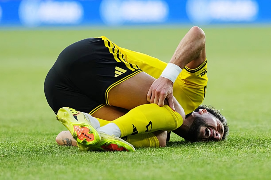 وسام أبو علي