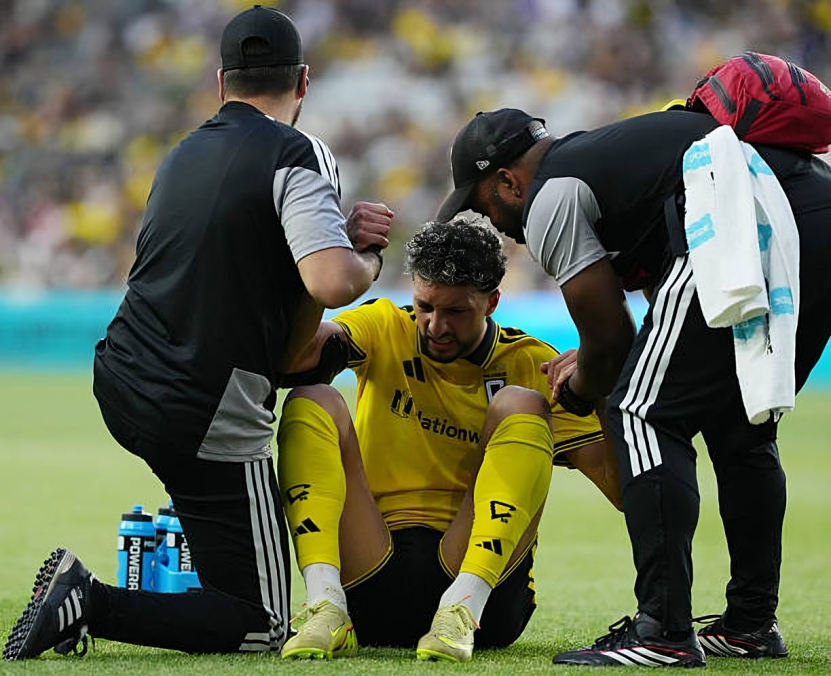 وسام أبو علي